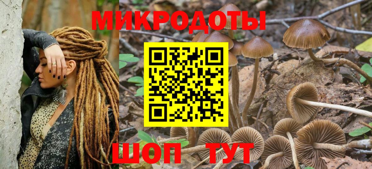Галлюциногенные грибы GOLDEN TEACHER  Галлюциногенные грибы Psilocybine cubensis  Вход с VPN  Архангельск 
